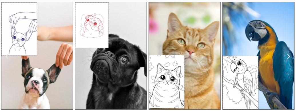 Photos to Line Art AI Generator Product Examples
